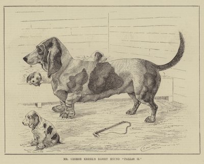 Le basset Pallas II de M. George Krehl - Louis Wain