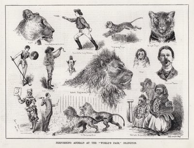 Animaux de spectacle à la "Foire Mondiale", Islington (gravure) - Louis Wain