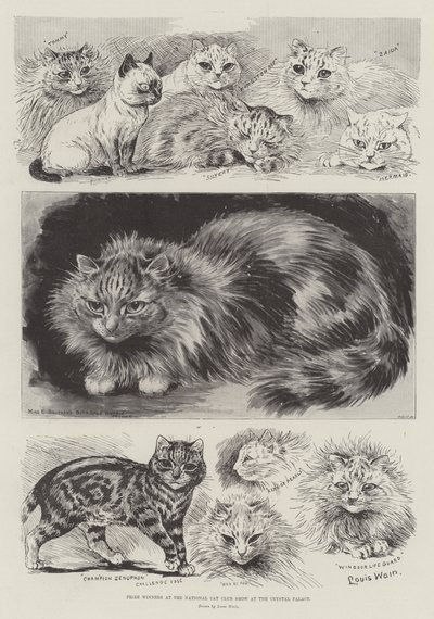 Lauréats du National Cat Club Show au Crystal Palace - Louis Wain