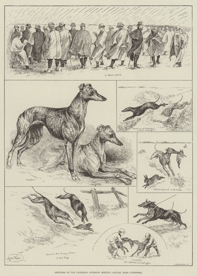 Croquis à la réunion de coursing de Waterloo, Altcar, près de Liverpool (gravure) - Louis Wain