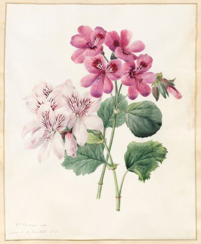Deux 