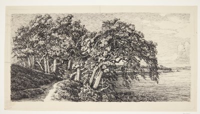 Vieux chênes près du lac Hald - Louise Ravn Hansen