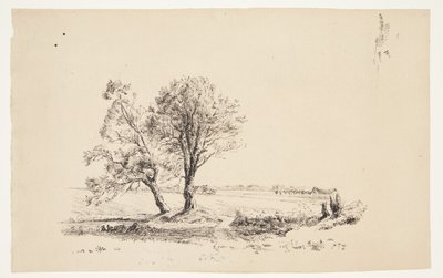 Paysage avec saules près d