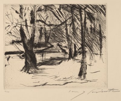 Arbres au soleil - Lovis Corinth