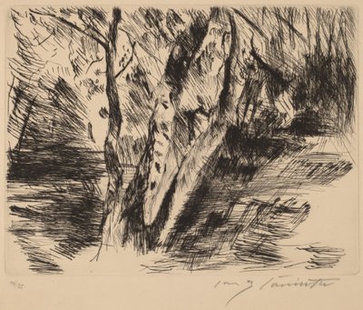 Bouleaux dans le Tiergarten - Lovis Corinth