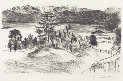 Grande paysage de la mer de Walchen - Lovis Corinth
