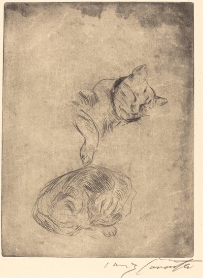 Étude de chats - Lovis Corinth