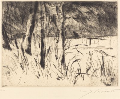 Tiergarten Jardin zoologique - Lovis Corinth