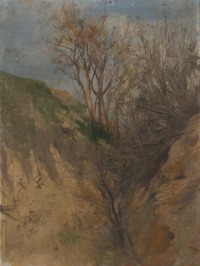 Fossé - Laszlo Mednyanszky