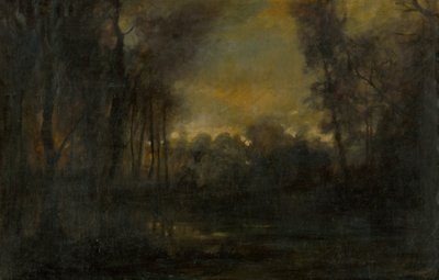 Paysage marécageux - Laszlo Mednyanszky