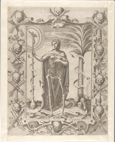 Vanité - Luca Bertelli
