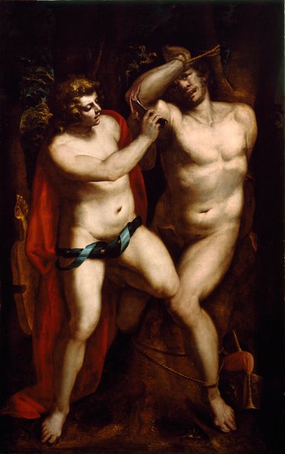Apollon et Marsyas. Peinture de Luca Cambiaso - Luca Cambiaso