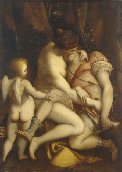 Vénus et Adonis, 1565-1569 - Luca Cambiaso