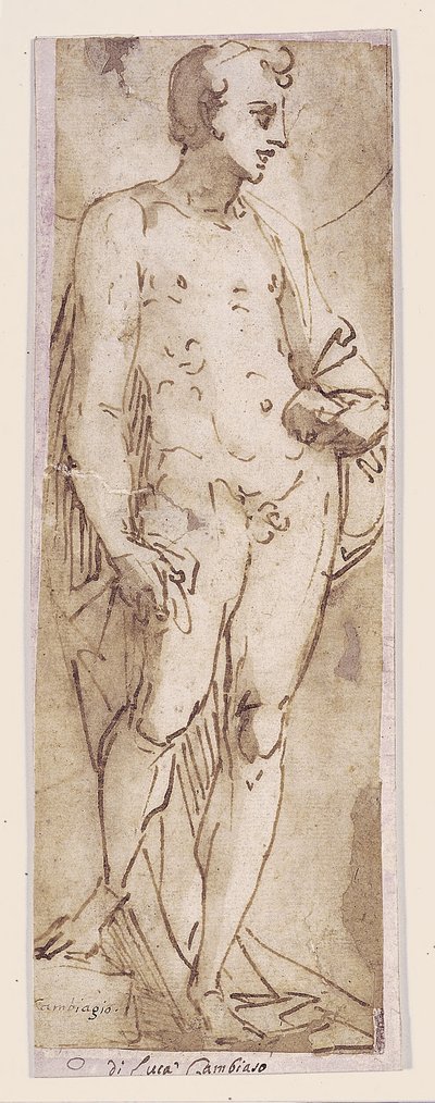 Jeune avec un manteau debout dans une niche - Luca Cambiaso