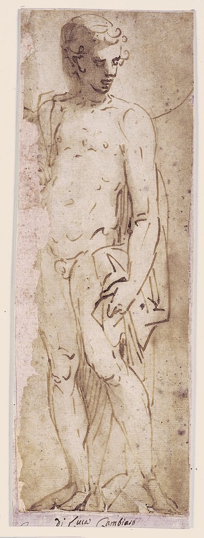 Jeune homme avec manteau debout dans une niche - Luca Cambiaso