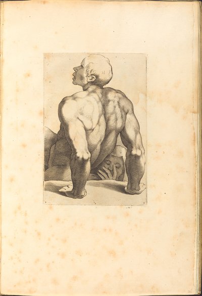 Impression du Livre de Dessin - Luca Ciamberlano