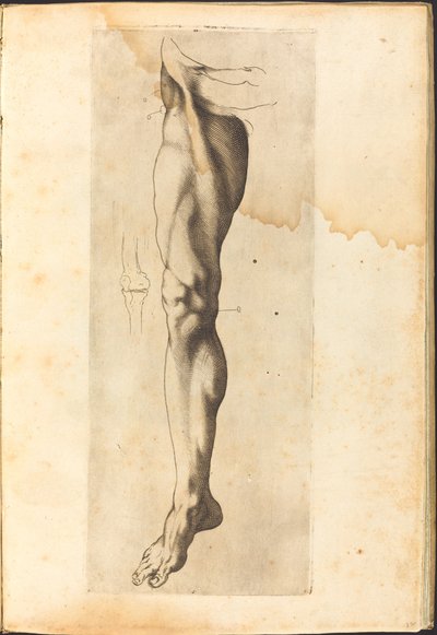 Impression du livre de dessin - Luca Ciamberlano