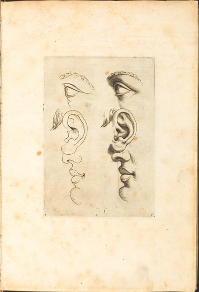 Impression du livre de dessin - Luca Ciamberlano