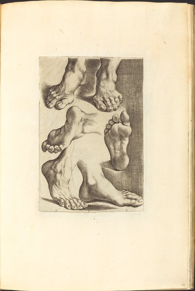 Impression du livre de dessin - Luca Ciamberlano