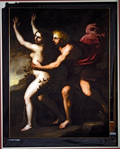 Apollon et Daphné - Luca Giordano