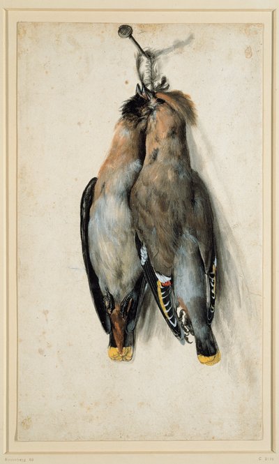 Deux jaseurs de Bohême morts - Lucas Cranach the Elder