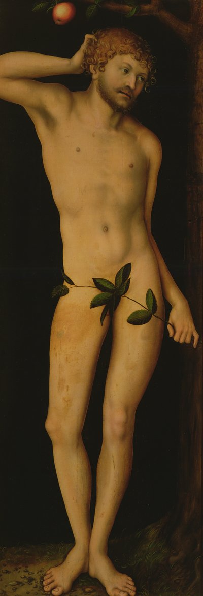 Adam, 1528 - Lucas Cranach the Elder
