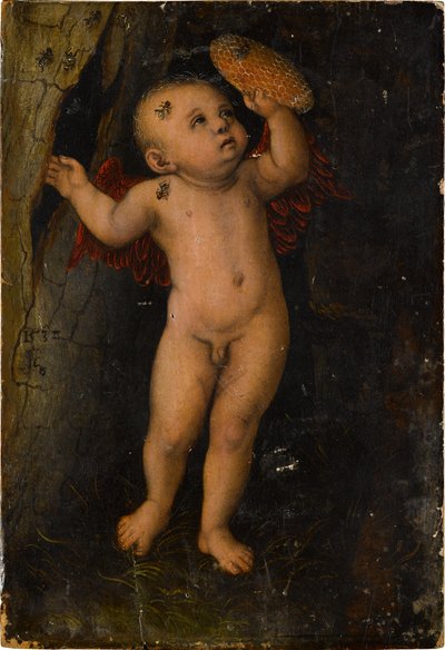 Amor als Honigdieb (Fragment) - Lucas Cranach