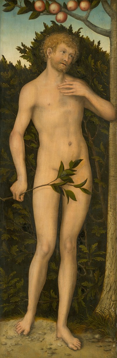 Adam, 153337 - Lucas Cranach the Elder