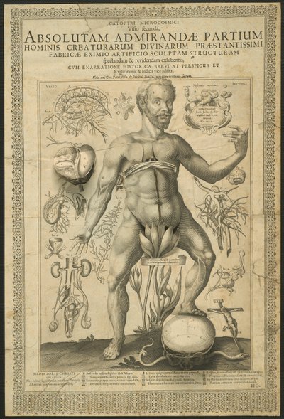 Deuxième vision, de Miroirs du microcosme - Lucas Kilian