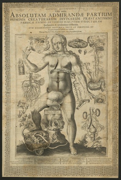 Troisième vision, des Miroirs du microcosme - Lucas Kilian
