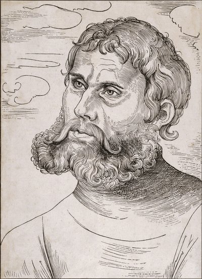 Portrait de Martin Luther en tant que 