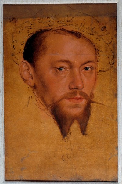 Portrait de Maurice de Saxe (1521-1553) - Lucas the Younger Cranach