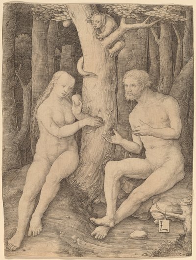 La chute de l