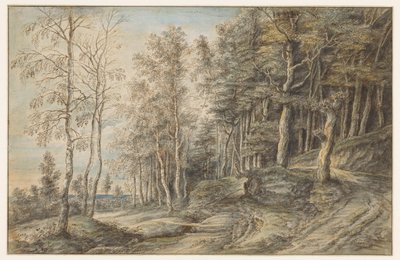 Paysage forestier - Lucas van Uden