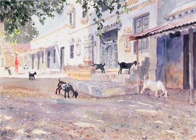 Chèvres indiennes - Lucy Willis