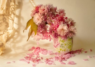  - Ludmila Shumilova