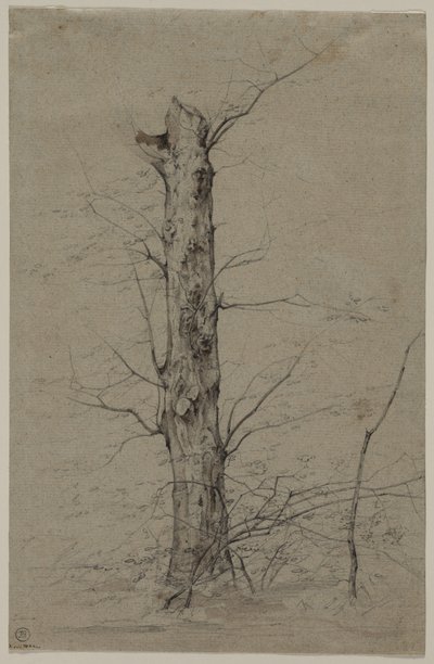 Arbre - Ludwig Ferdinand Schnorr von Carolsfeld