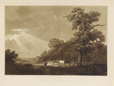 Paysage vallonné avec un troupeau d