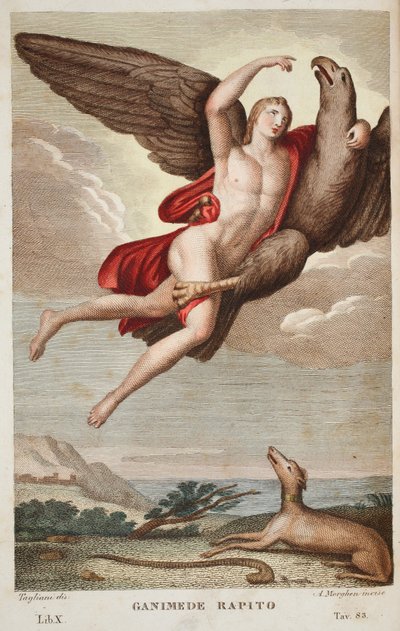 Ganymède enlevé au ciel, Livre X, illustration des Métamorphoses d