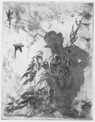 Vita contemplativa - Luigi Conconi