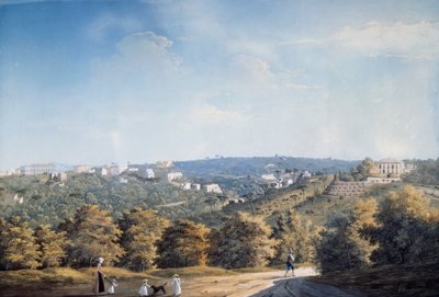 Colline de Capodimonte et villas le long de la route Ponti Rossi - Luigi Fergola