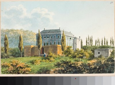 Vue d