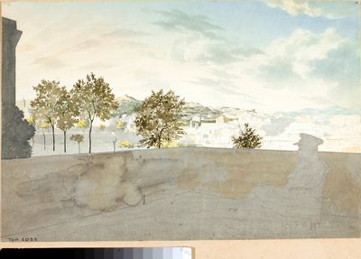 Vue sur la ville de Gênes depuis une terrasse - Luigi Garibbo
