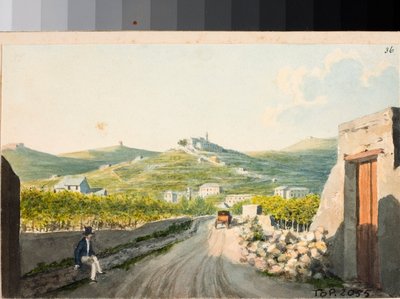 Vue sur le sanctuaire Nostra Signora del Monte, Gênes - Luigi Garibbo