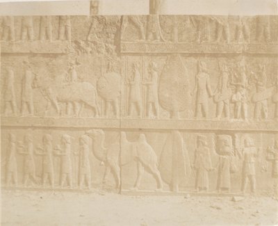 Procession sur la façade de la Grande Échelle - Luigi Pesce