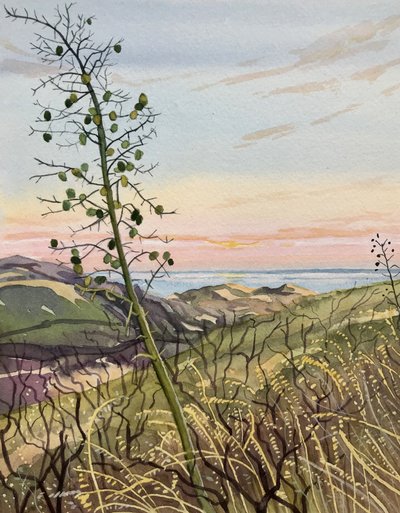 Vue du coucher de soleil sur la végétation côtière - Luisa Millicent