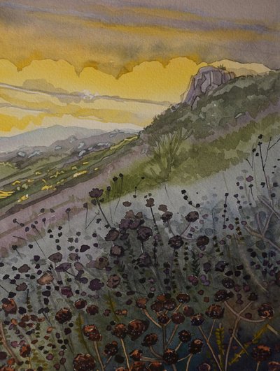 Coucher de soleil sur la Montagne d