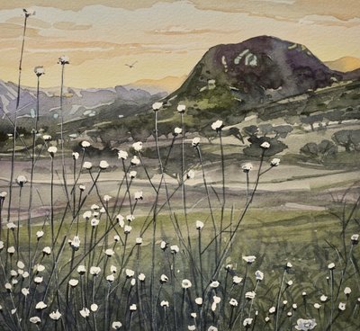 Fleurs sauvages de Golden Sky - Luisa Millicent