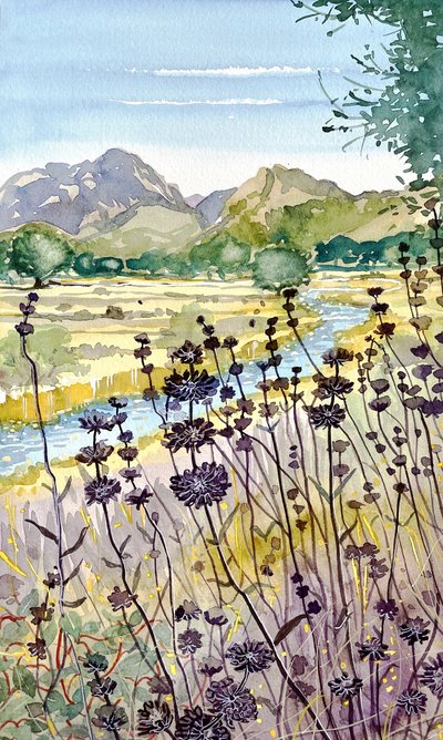 Fleurs sauvages des rivières de montagne - Luisa Millicent