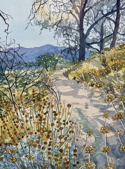 Sentier de la nature au calme - Luisa Millicent